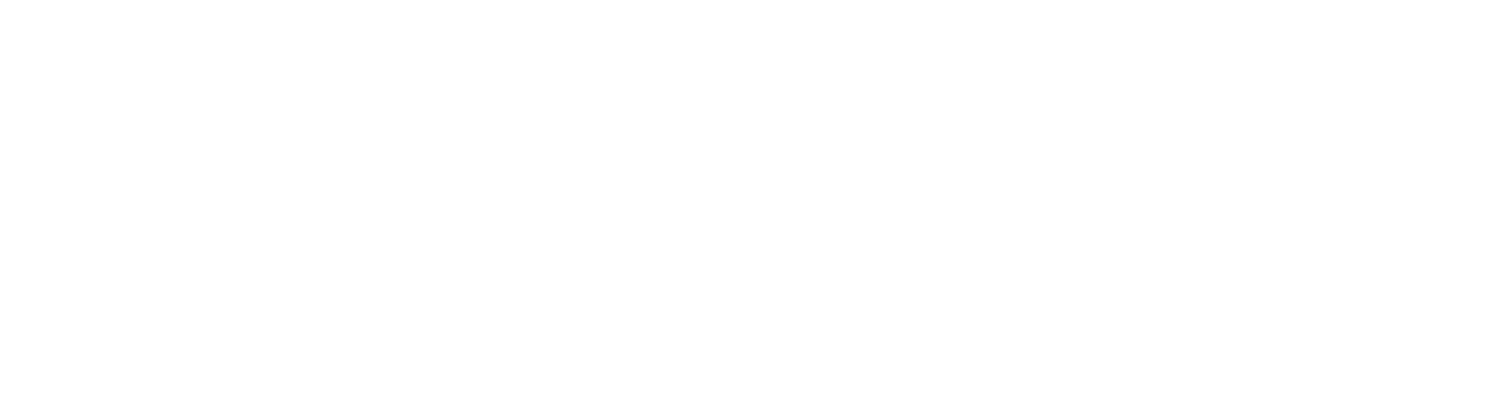 Foundant Logo
